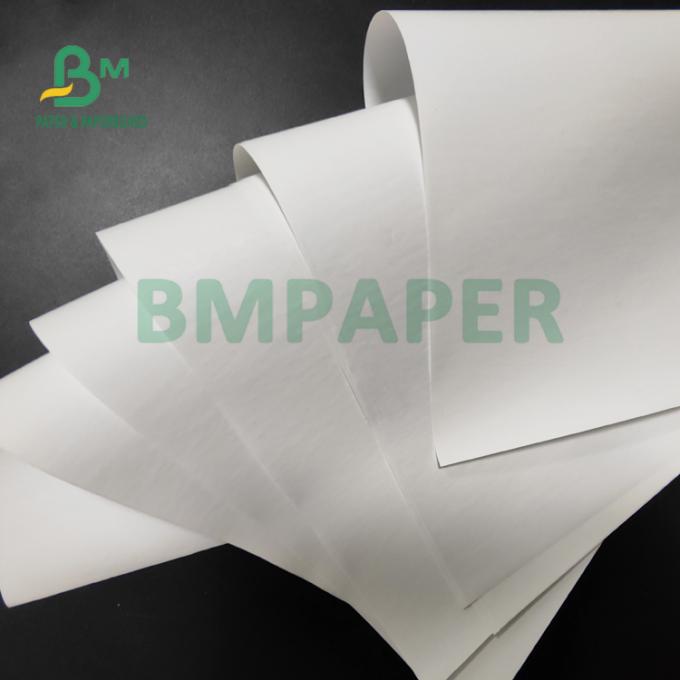 papier thermosensible du petit pain 55gsm enorme pour des imprimantes de position bonne dureté de 565mm x de 6000m