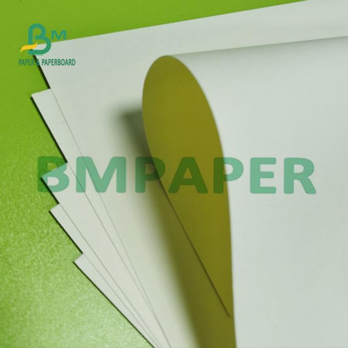 le PE 180g un latéral a enduit le papier blanc naturel de cuvette d'actions de tasse en petit pain (1)