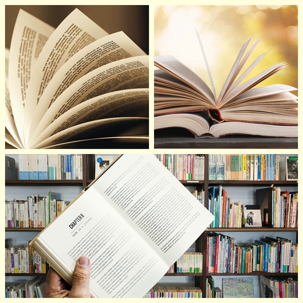 Outre du haut livre en vrac blanc 65gsm de papier pour la fiction ombragez même non-enduit