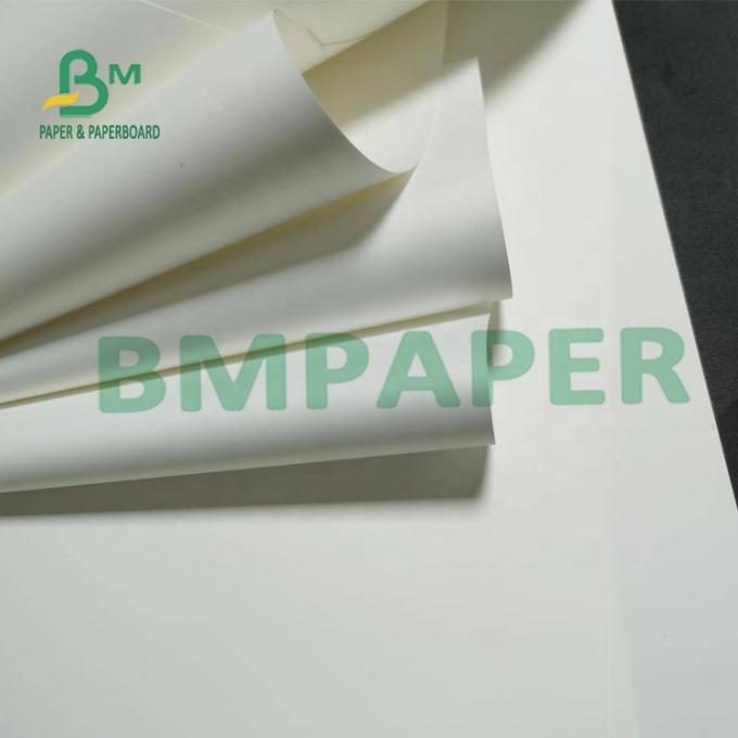 Papier synthétique Tearable Matte Surface Paper For Maps de SRA3 180um non - pp