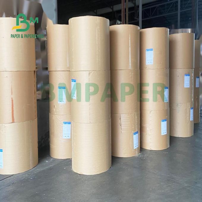 papier brut de la tasse 135gsm + 20gsm enduite de polyéthylène pour le bol de soupe