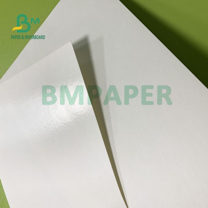 papier brut de tasse enduite sûre de PE de la nourriture 150gsm + 10gsm pour le boire