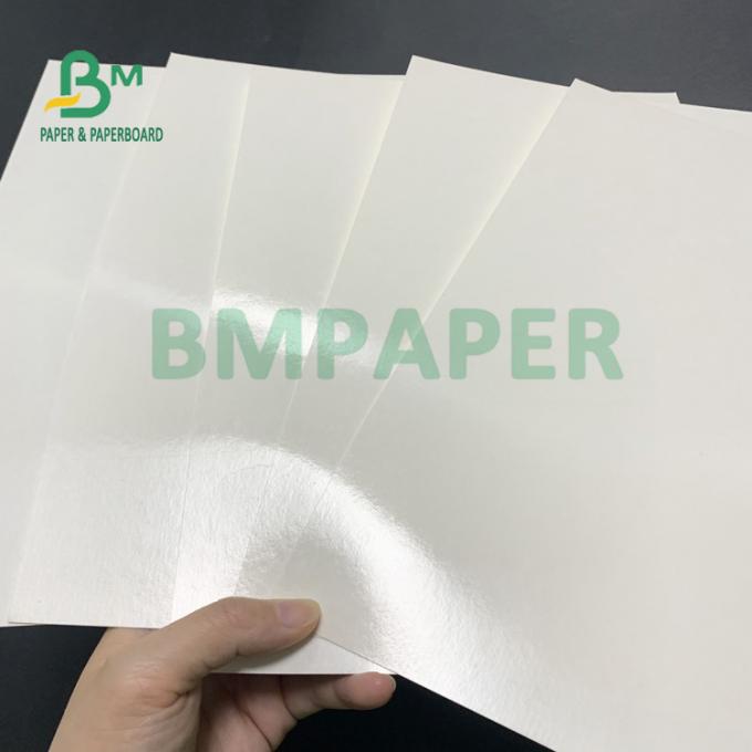 le film de PE de la tasse 210gsm+15gsm a enduit le bon éclat de papier 615mm x 850mm
