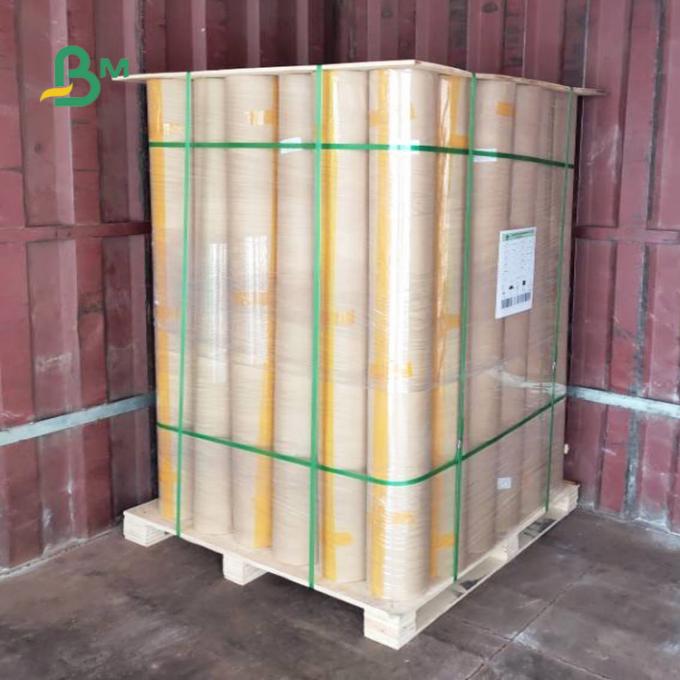 papier non-enduit de fabricant de modèle de Rolls de papier à dessin du vêtement 60gsm