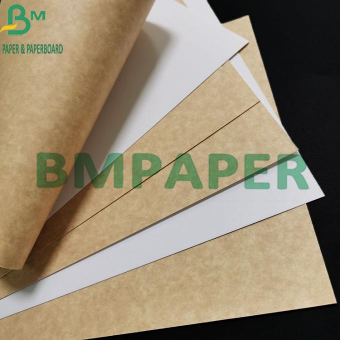 la catégorie 300gsm comestible a enduit le papier d'emballage blanc de Brown de retour pour le conteneur de nourriture