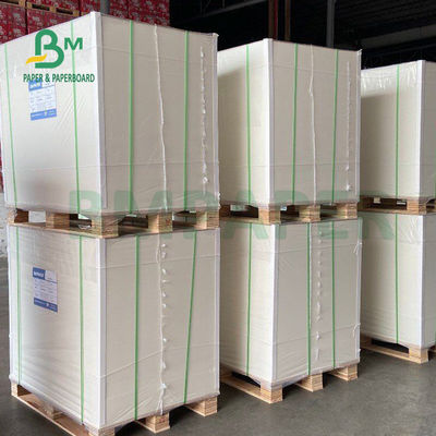 Dos blanc latéral 350gsm 36" du petit pain 1 de papier FBB de congélateur de pulpe de Vierge X 48" pour le paquet de soins de santé