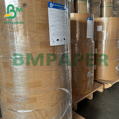 21 - 28gsm 440mm Rouleau de papier filtre à café brun compostable, sûr pour les aliments