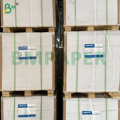 250+15 g/m² Feuilles de papier de base pour gobelets, couchées PE une face, étanches