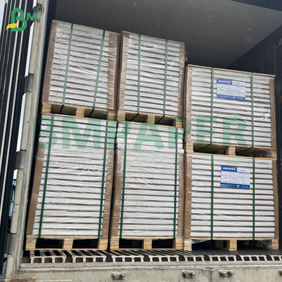 300g 350g 900mm 1000mm Printable Frost Resistant Folding Paper For Frozen Food Box