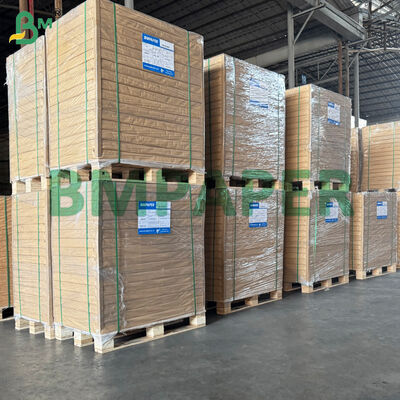 PET Coating Paperboard Heat Resistant For Disposable Paper Plate