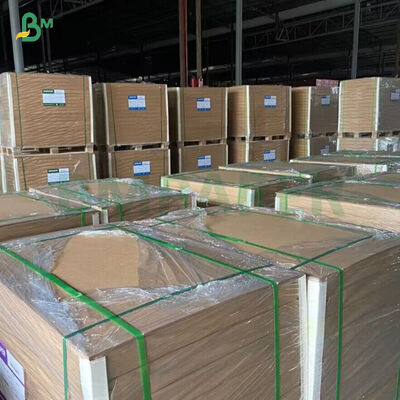 Papier cartonné pour gobelets 260GSM+ 18GSM FDA dégradable en bambou kraft avec revêtement PE / PLA