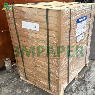 Carton 370lb à double face couché, 12" X 18", couleur blanche