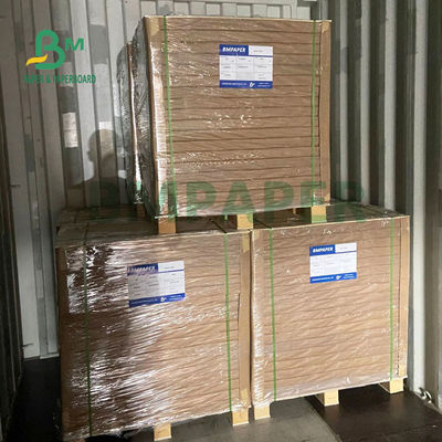 papier blanc non-enduit de 80gsm 100gsm Woodfree pour l'impression 25&quot; d'insecte x 38&quot;