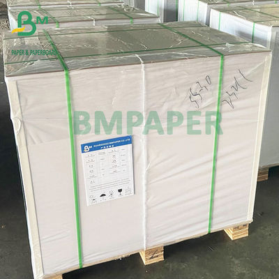 28&quot; x 40&quot; et 25&quot; x 38&quot; la finition brillante C2S couvrent 80# 100# pour imprimer des bons