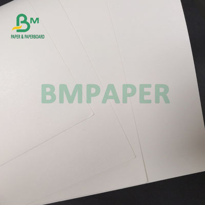 Pâte de bois de 100% feuille de papier enduite du PE 210g + 15g pour des tasses de boissons 720mm 880mm