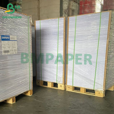 petit pain 635mm de 230gsm 250gsm 300gsm C1S Artboard 700mm 914mm 1000mm au loin