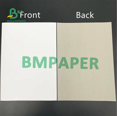 Clay Coated Duplex Board blanc, réutilisé réduisent en pulpe Gray Back Board 0.3mm - 2mm épais