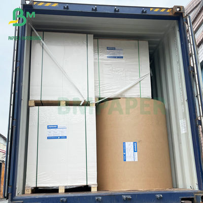 Papier fort 72x102cm du panneau en ivoire FBB de la rigidité 300GSM 350GSM