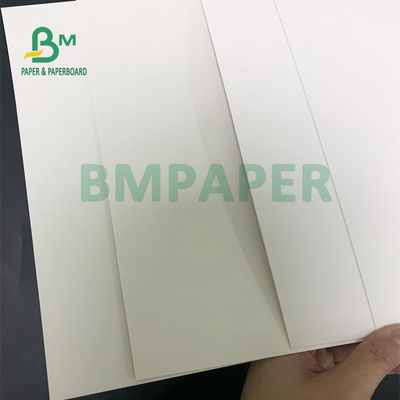 Le côté en vrac élevé du panneau un de papier d'emballage de nourriture de catégorie comestible a enduit 325gsm écologique