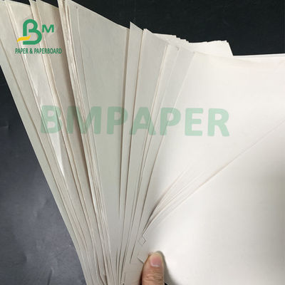 42 GM/M - petit pain de papier de papier journal de 52 GM/M avec le bon diamètre de l'absorption 15cm d'encre
