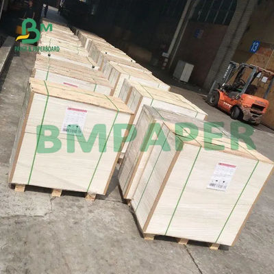 Épaisseur élevée duplex enduite blanche de Grey Back 450g de conseil de C1S pour l'emballage