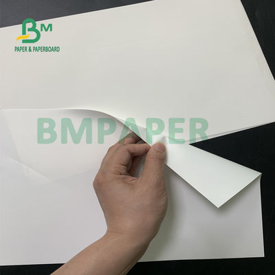 Feuilles de papier synthétiques blanches brillantes, papier d'autocollant d'ANIMAL FAMILIER imperméable pour l'impression