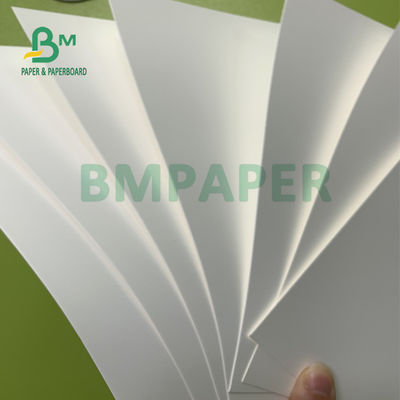 papier synthétique de 180um pp, papier de preuve imperméable de larme pour la publicité extérieure