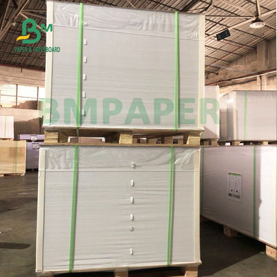 papier synthétique de 180um pp, papier de preuve imperméable de larme pour la publicité extérieure