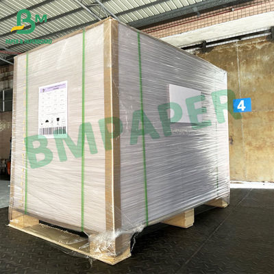 les papiers enduits du PE 250g + 15g pour des tasses de plaques à papier roule vaisselle