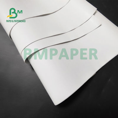 papier thermosensible du petit pain 55gsm enorme pour des imprimantes de position 565mm x 6000m