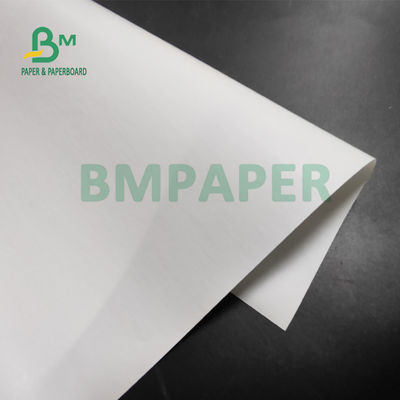 papier thermosensible du petit pain 55gsm enorme pour des imprimantes de position 565mm x 6000m