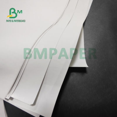 papier thermosensible du petit pain 55gsm enorme pour des imprimantes de position 565mm x 6000m