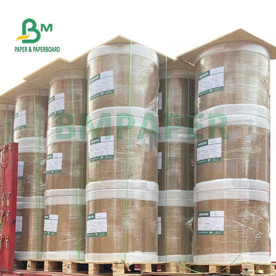 papier thermosensible du petit pain 55gsm enorme pour des imprimantes de position 565mm x 6000m
