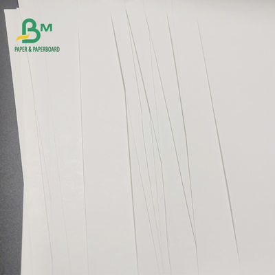 petit pain libre de papier thermosensible de 65gsm BPA pour l'image claire 600mm x 9000m de caisse enregistreuse