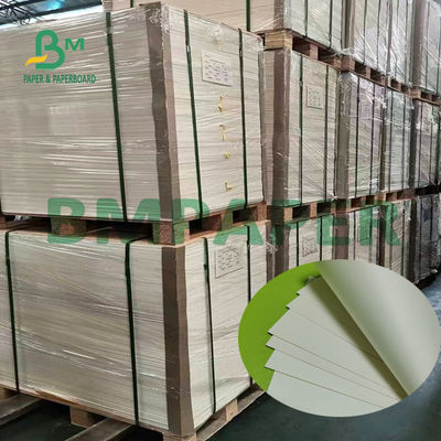 Le PE latéral du carton 180g courant blanc le naturel de tasse a enduit la surface douce