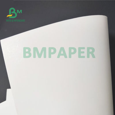 350gsm 1S a enduit le poids léger de papier de conseil de FBB pour l'emballage pharmaceutique 37" X.25 »