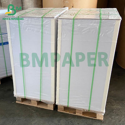les papiers enduits du PE 250g + 15g pour des tasses de plaques à papier roule vaisselle