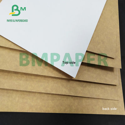 résistant d'humidité de 325gsm CCK Clay Coated Kraft Back Paper pour des boîtes de carton de pliage