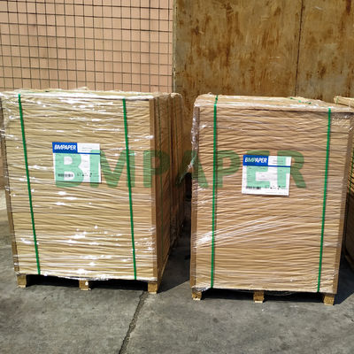 les fibres fortes de Papier d'emballage de Vierge de panneau de dos de 270gsm CKB Papier d'emballage ont enduit