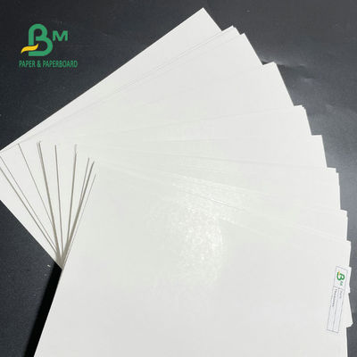Un petit pain de papier de congélateur enduit de côté 275gsm 325gsm pour la nourriture de emballage