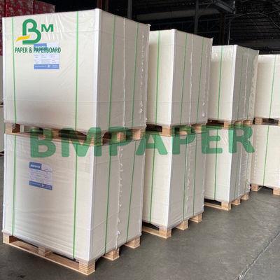 feuille de 300gsm 450µM Blister Board Paper pour l'emballage de boursouflure de matériel