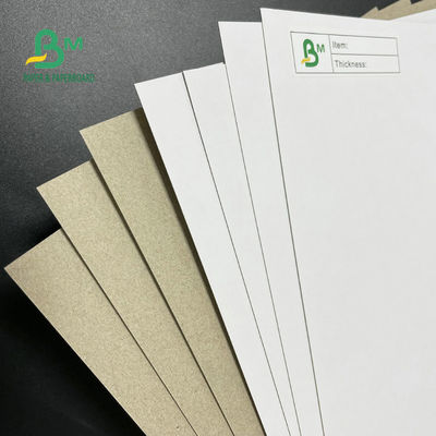Conseil duplex enduit Grey Back 350GSM 400GSM 450GSM de 42 pouces pour les boîtes de empaquetage
