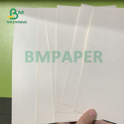 résistance se pliante de carton d'actions de tasse de 135gsm + de 15gsm Polycoated