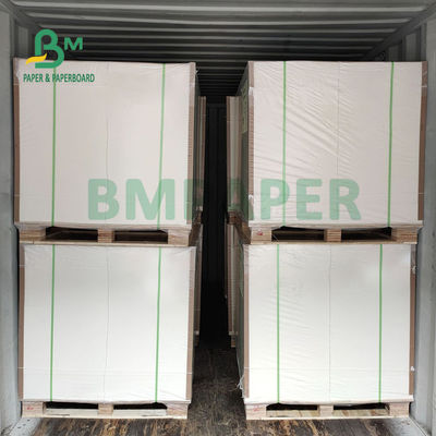 Larme CCKB résistant Clay Coated Kraft Paper Board pour les boîtes à emporter