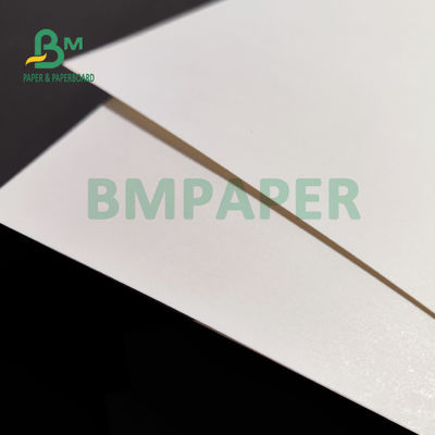 230gsm + 15 PE Matt Laminated Cup Stock Paper pour les boissons chaudes 882mm