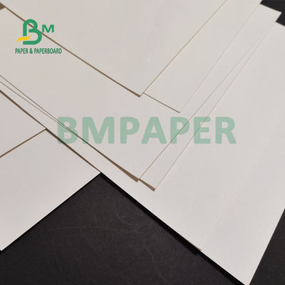 230gsm + 15 PE Matt Laminated Cup Stock Paper pour les boissons chaudes 882mm