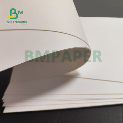 papier étanche blanc du PE 230gsm + 15g pour le paquet 700mm de gamelle d'aliments de préparation rapide