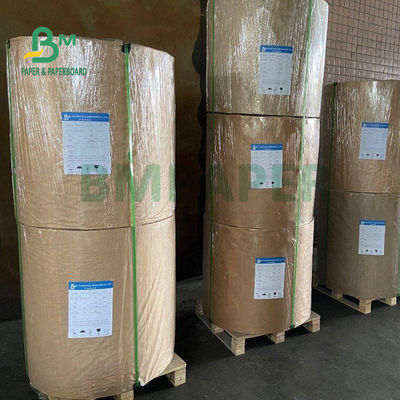 papier étanche blanc du PE 230gsm + 15g pour le paquet 700mm de gamelle d'aliments de préparation rapide