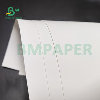 Dos blanc latéral 350gsm 36" du petit pain 1 de papier FBB de congélateur de pulpe de Vierge X 48" pour le paquet de soins de santé