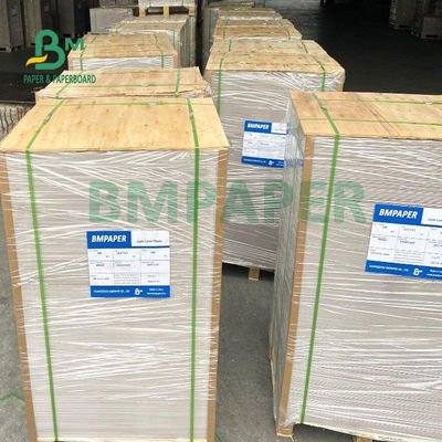 papier excentré non-enduit blanc de 75gsm 80gsm pour la bonne douceur d'insecte